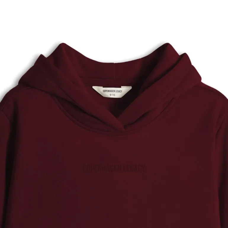 Børn Hættetrøjer Bordeaux