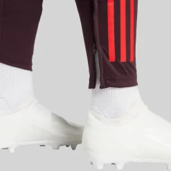 Dame FCB FC Bayern München Træningsbukser Shadow Maroon/Rød