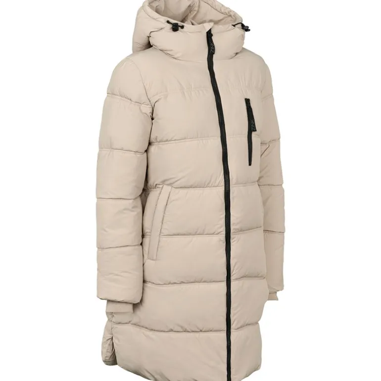 Dame Zink Gunilla Dyne Brun