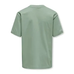 Drenge Fred Malto Liv T-shirt Iceberg Green