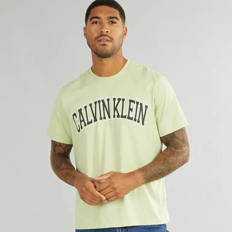 Herre Curve Varsity Log T-Shirt Aloe Wash