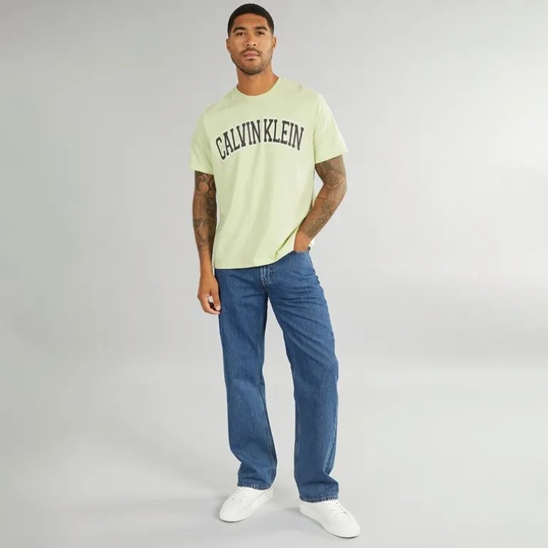 Herre Curve Varsity Log T-Shirt Aloe Wash