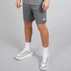 Herre Entrada 22 Shorts Team Grey Four