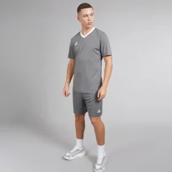 Herre Entrada 22 Shorts Team Grey Four