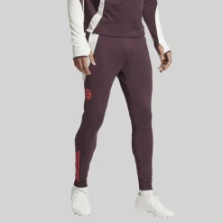 Herre FCB FC Bayern München Træningsbukser Shadow Maroon/​Rød