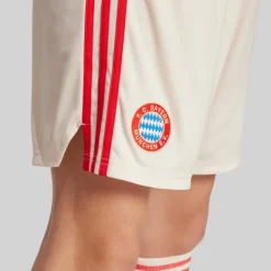 Herre FCB FC Bayern München 24/​25 Tredje Shorts Linen