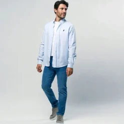 Herre Greg Skjorte Light Blue Stripe