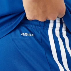 Herre Squadra 21 Shorts Team Royal Blå/​Hvid