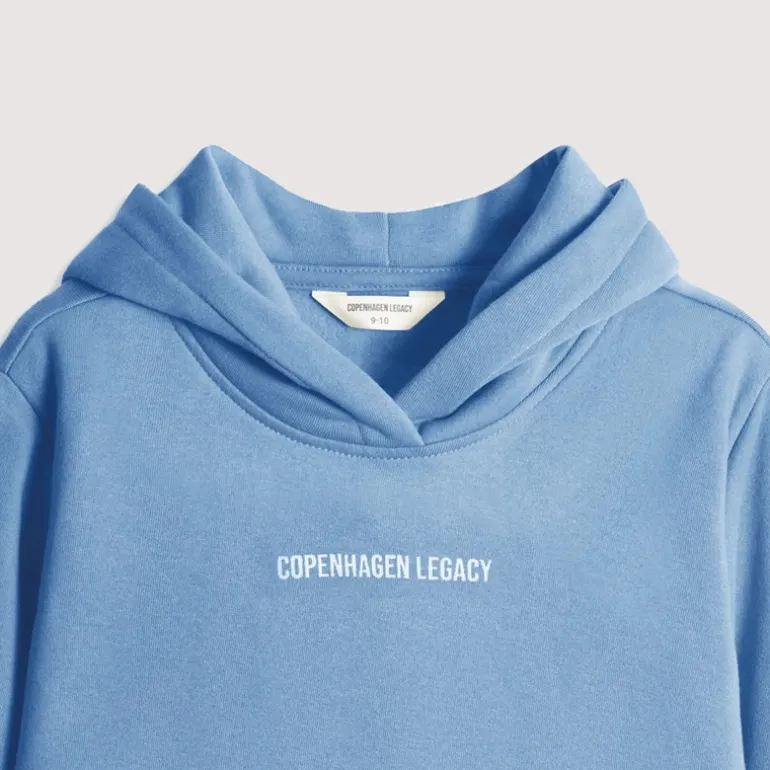Hættetrøjer Blå