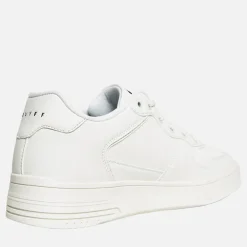 Hvid Royal C Træningssko til herre