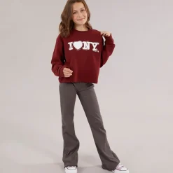 Piger New York Sweatshirt C-12 Syrah/​New York/​Niagara Falls C-12 Syrah_New York & Niagara Falls